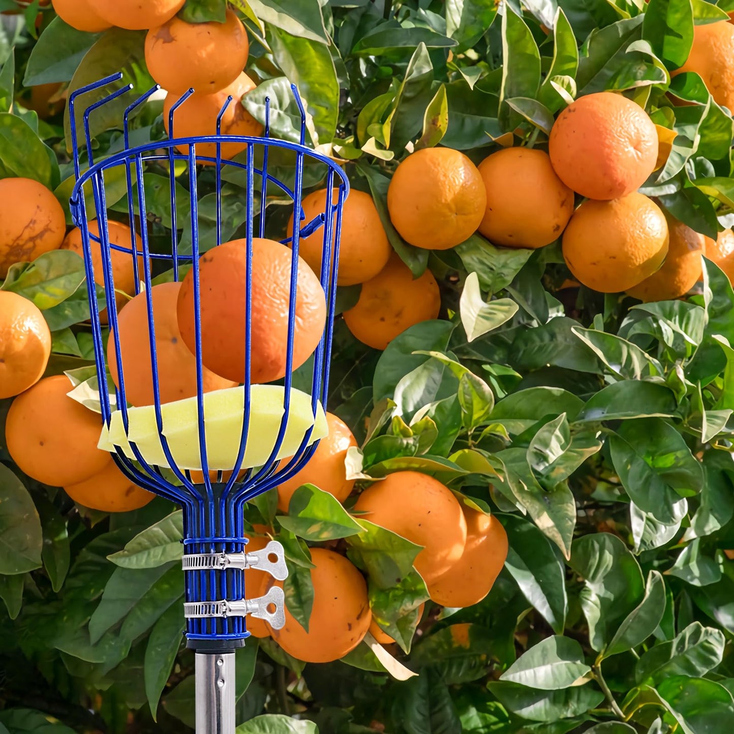 High-altitude Fruit Picker